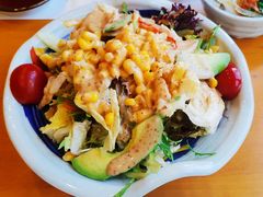 -天正河鲀·河豚亭(大连店)