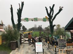 -田园东方蜜桃村的田野营地