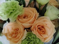 -沸腾鱼乡(知春路分店)