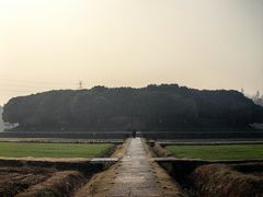 -八卦田遗址公园