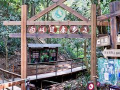 -西双版纳原始森林公园