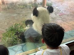 -西霞口神雕山野生动物世界