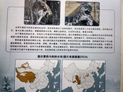 -青藏高原野生动物园