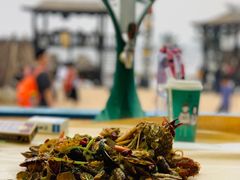 -北戴河碧螺塔海上酒吧公园