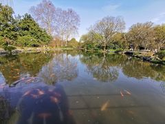 -西湖外事游船(花港观鱼码头)