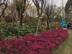 -两河城市森林公园