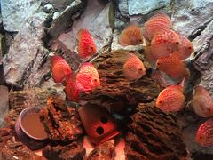 -多彩贵州城极地海洋世界