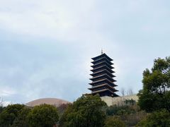 -牛首山文化旅游区