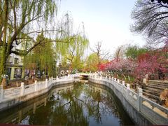 -桃花堤公园