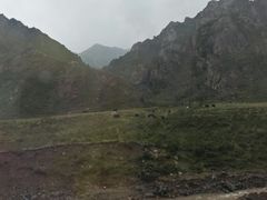 -扁都口生态休闲旅游区
