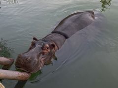 -杭州野生动物世界