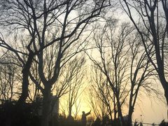 -山东师范大学(千佛山校区)
