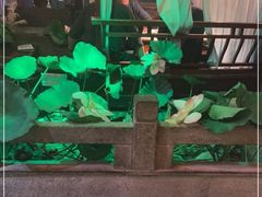 -韵秋荷(宝山龙湖天街店)