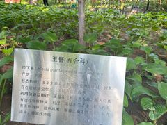 -丰台花园