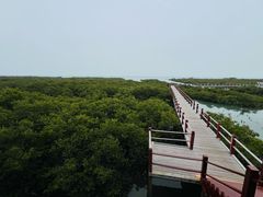 -北海金海湾红树林生态旅游区