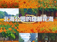 -北海公园
