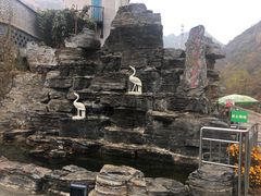 -大岭沟猕猴桃谷风景区