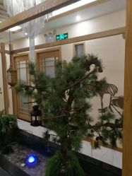 -芳朵美容养生SPA