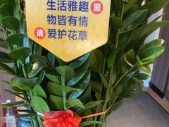 -润园四季椰子鸡火锅(欢乐海岸店)