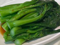 白灼菜心-點無缺茶楼·海鲜酒家(世博店)