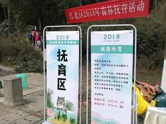 -铁山坪森林公园