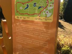 -滨河世纪广场公园