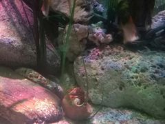 -沈阳海洋探索中心