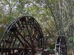 -大屏嶂森林公园