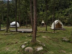 -姑婆山森林酒店