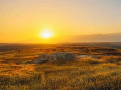 -国强手抓(西夏区店)