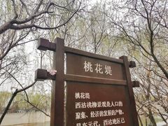 -桃花堤公园