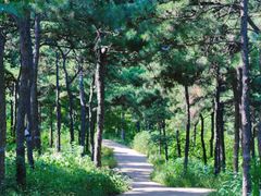 -北京西山国家森林公园