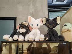 -70cat德文卷毛猫·缅因猫纯种猫舍