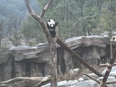 -宁波野生动物园