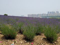 -雪浪山卡丁车俱乐部
