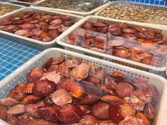 -大锅强·蒸海鲜青岛菜(吾悦广场店)