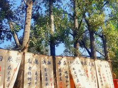 -辛庄国际文化艺术区