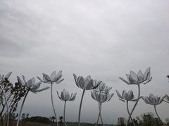 -空港花田景区