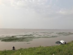 -白渔泡湿地公园