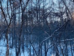 -庙香山滑雪场