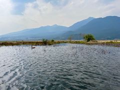 -腾冲北海湿地