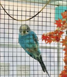 -萌宠亲子动物乐园(槐房万达店)