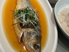 清蒸鲥鱼-红城阁·上海味道(四平路店)