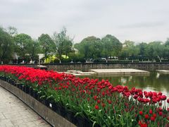 -上海鲜花港