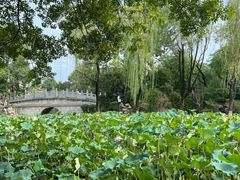 -莲湖公园