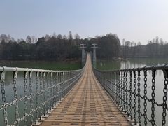 -东湖落雁景区