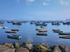-海源公园