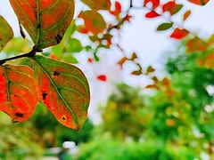 -苏州河梦清园环保主题公园