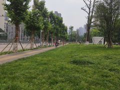 -龙头寺公园