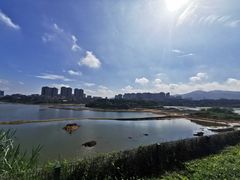 -立新湖公园